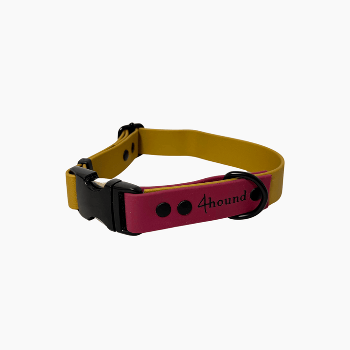 BioThane® classic dog collar 'Gold Wishes' reversed