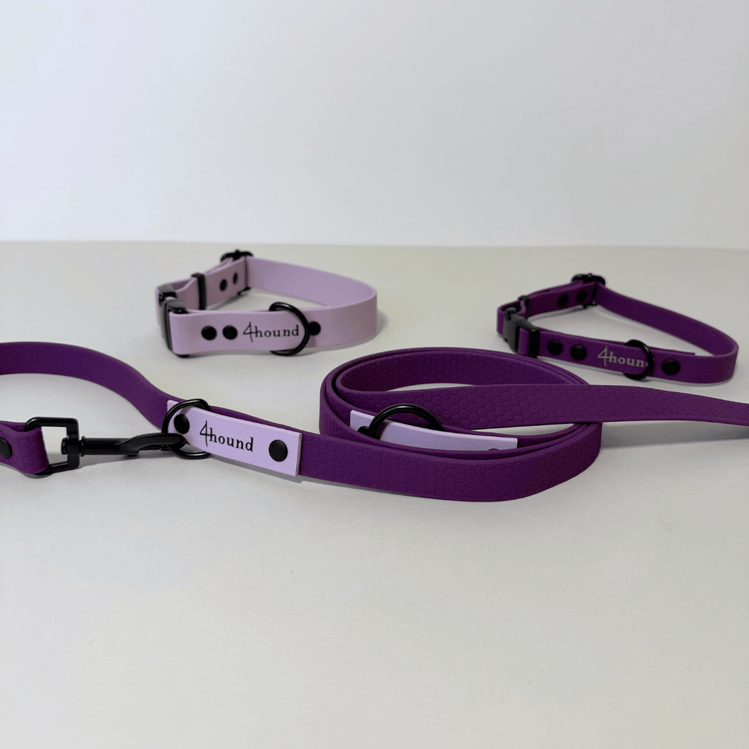 Hexa adjustable leash 'Violet'