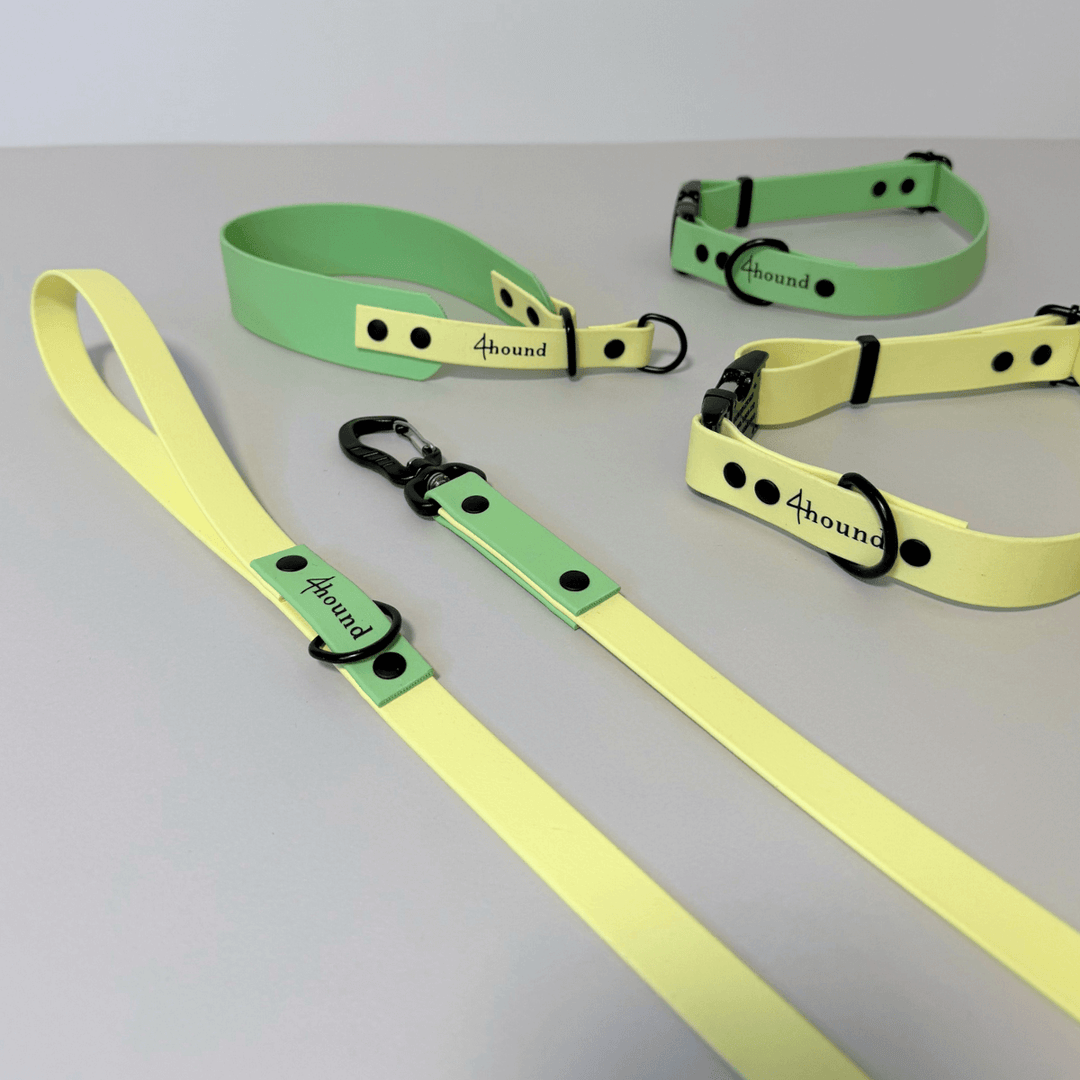 BioThane® sighthound collar 'Pastel Green'