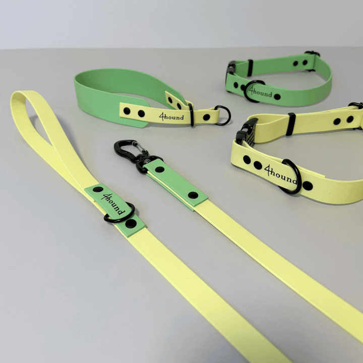 BioThane® sighthound collar 'Pastel Green'
