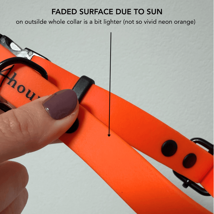 BioThane® classic dog collar 'Neon Orange' FADED