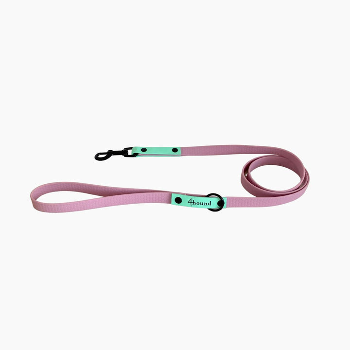 Hexa klasičen povodec 'Lavender + Mint'