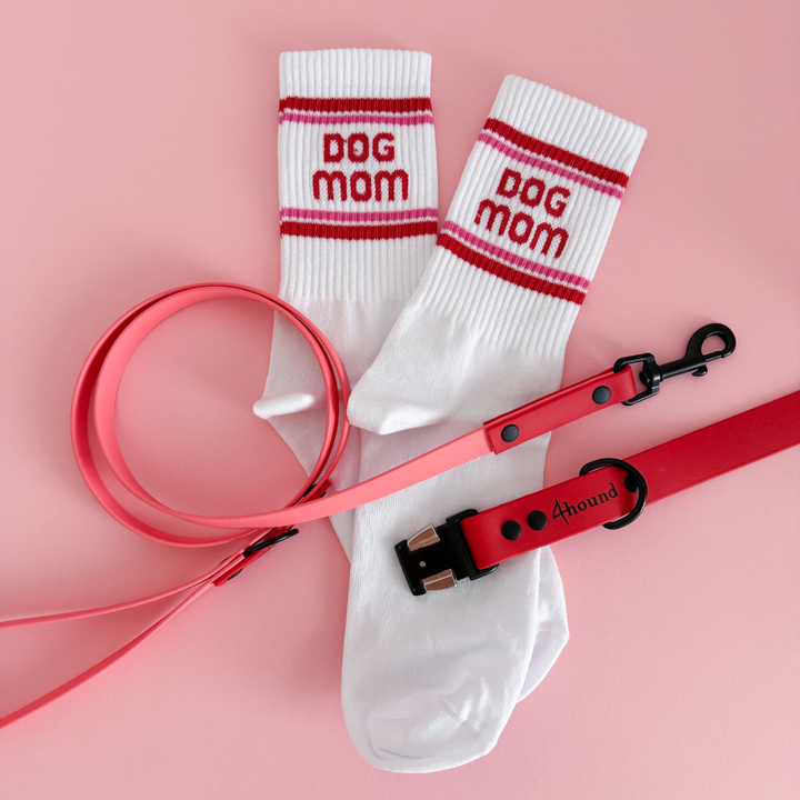 Socks Dog Mom