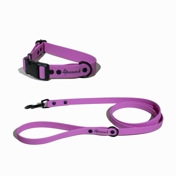 Hexa Magnolia bundle