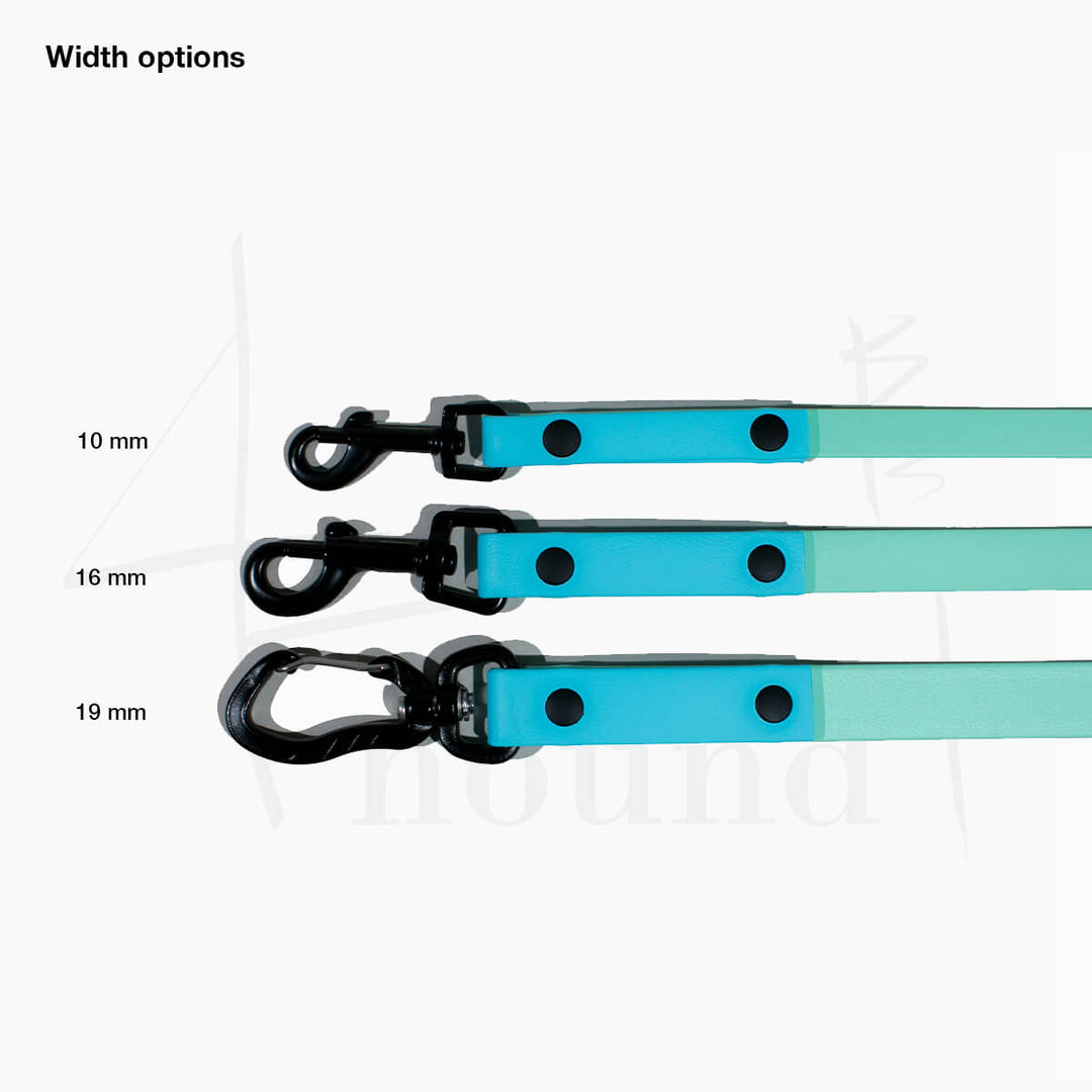 BioThane® adjustable leash 'Minty'