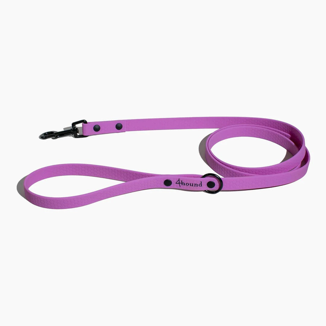 Hexa Magnolia bundle