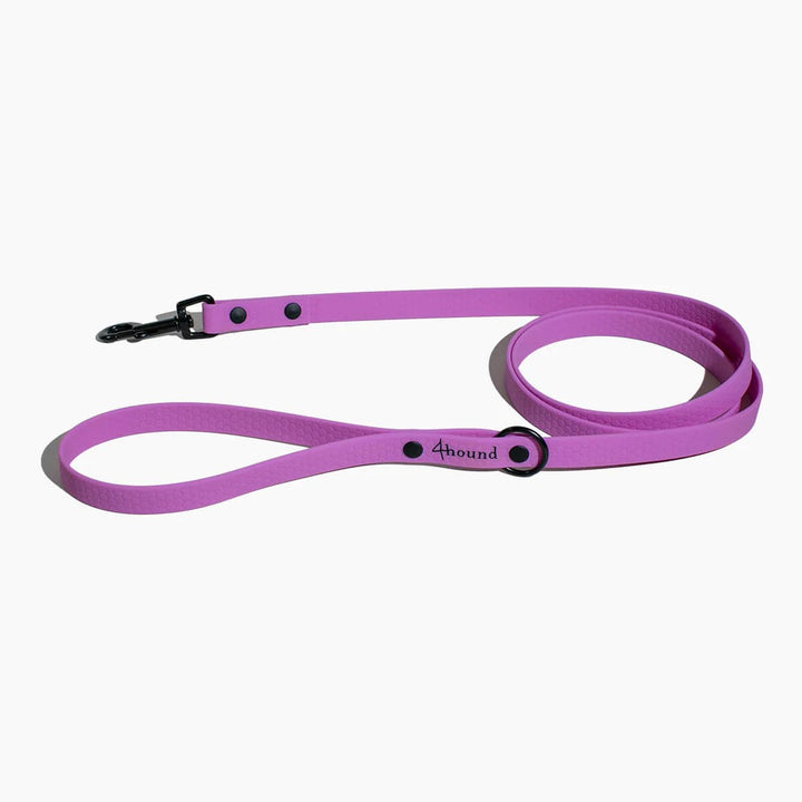 Hexa Magnolia bundle