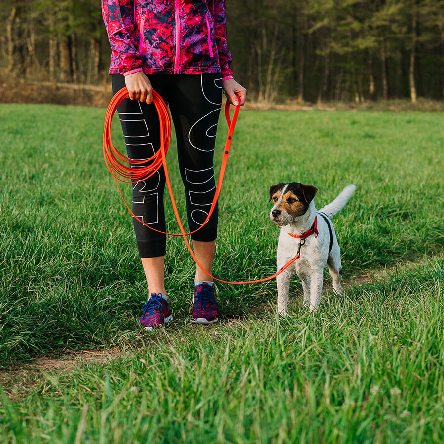 Waterproof tracking leash 'Hexa Red'