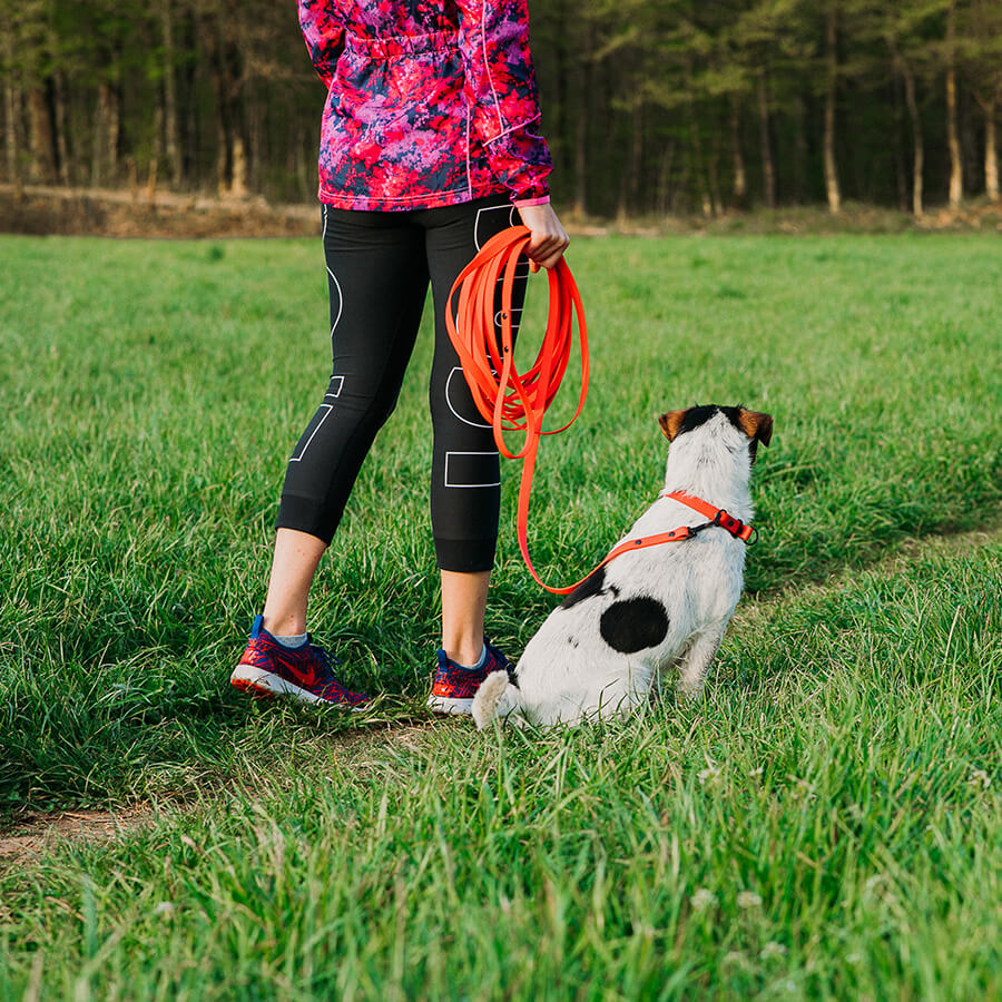 Waterproof tracking leash 'Hexa Red'