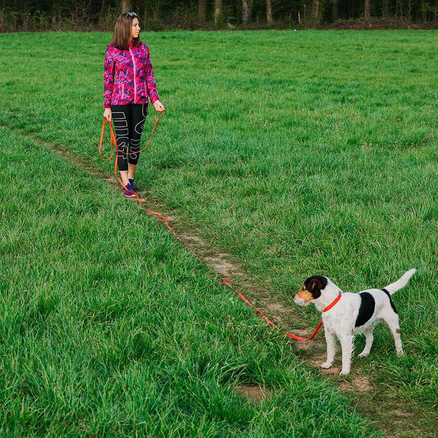 Waterproof tracking leash 'Hexa Red'