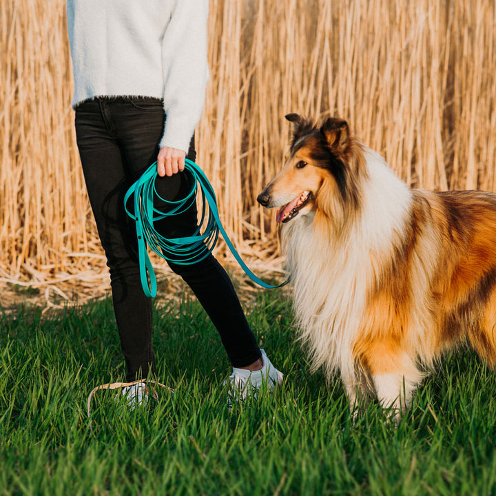 Waterproof tracking leash 'Teal'