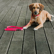 BioThane® dog leash 'Fia'