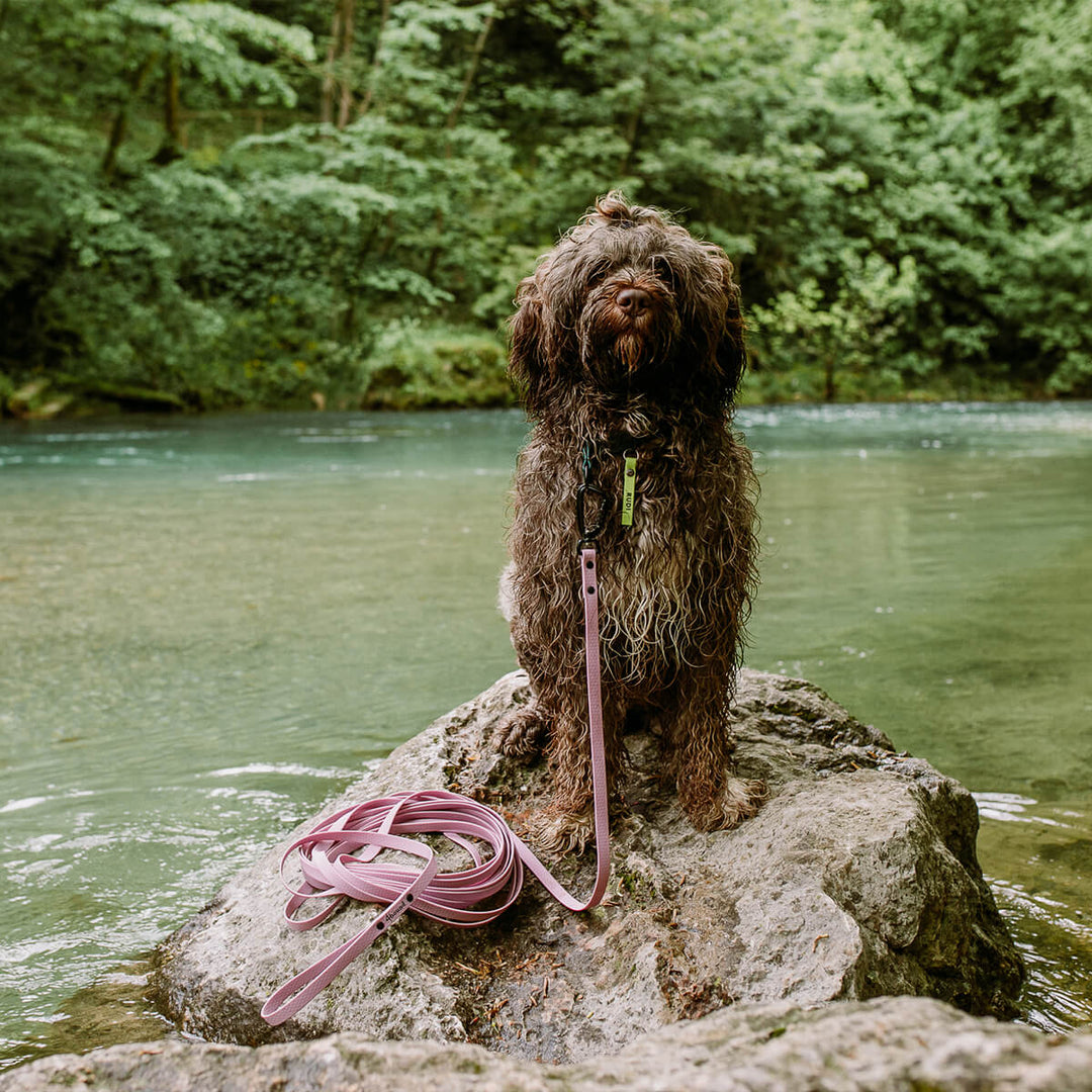 Waterproof tracking leash 'Hexa Lavender'