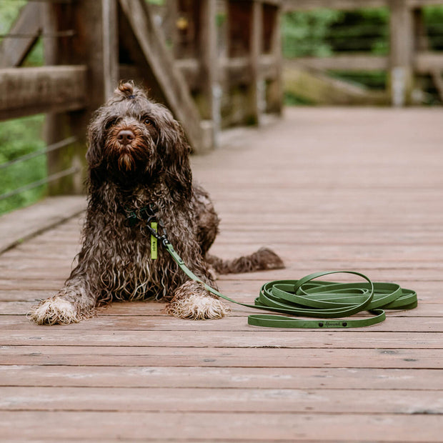 Waterproof tracking leash 'Olive green'