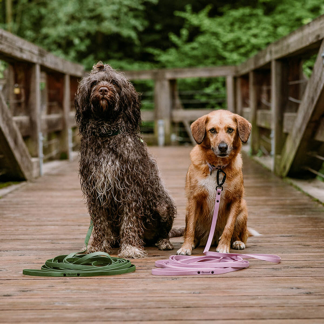 Waterproof tracking leash 'Olive green'