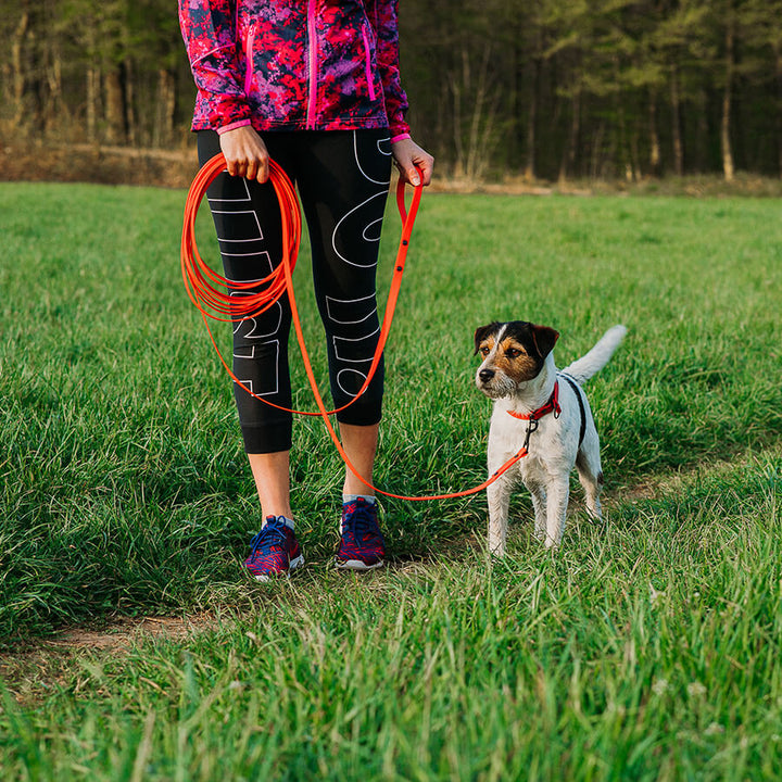 Waterproof tracking leash 'Red'