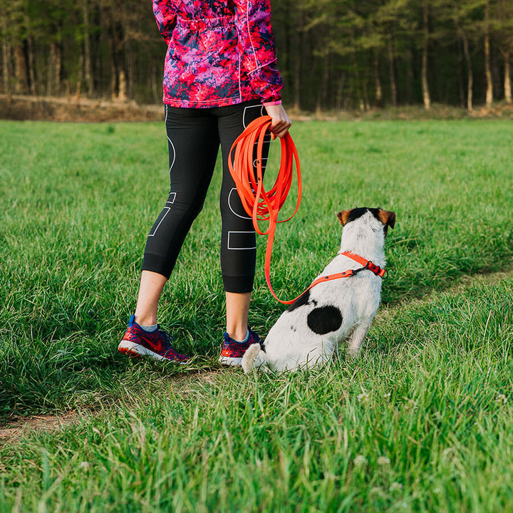 Waterproof tracking leash 'Red'