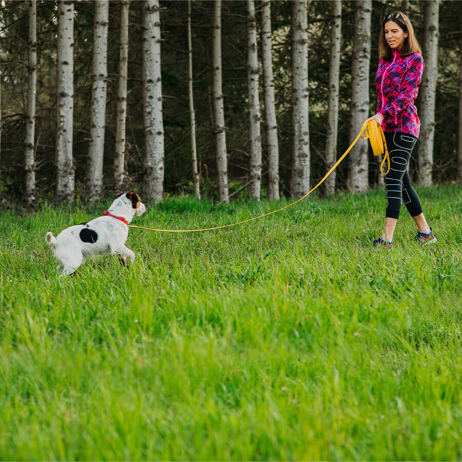 Waterproof tracking leash 'Yellow'