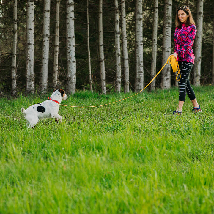 Waterproof tracking leash 'Yellow'